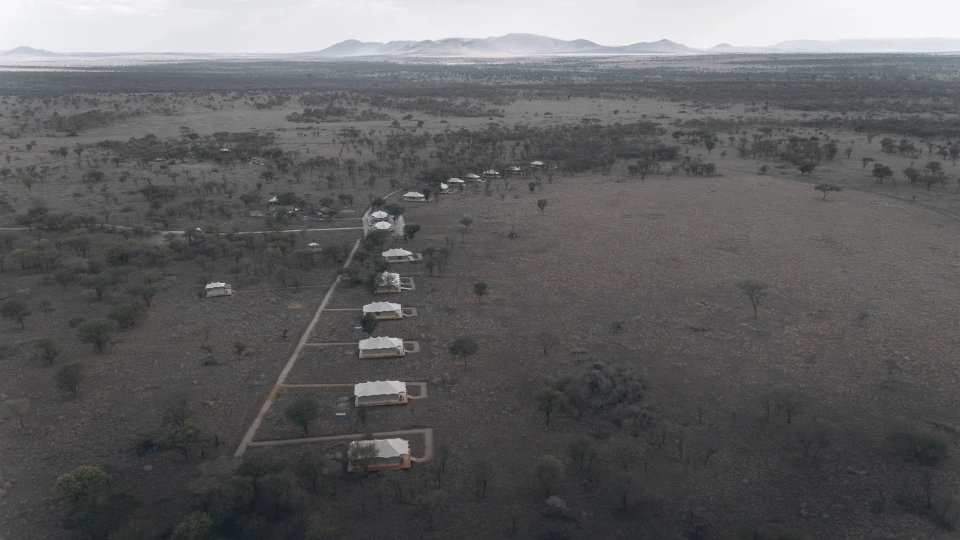 Conserver Safari Serengeti — Serengeti