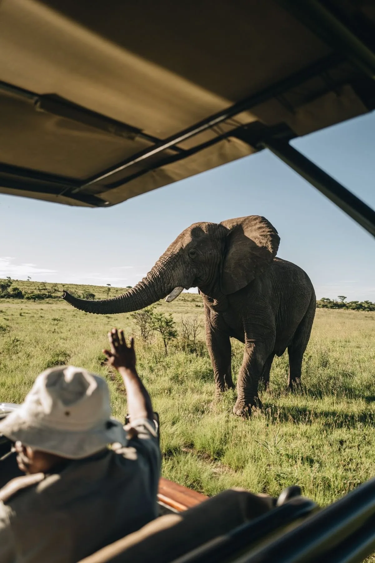 Luxury safari vehicle on a Tanzania game drive