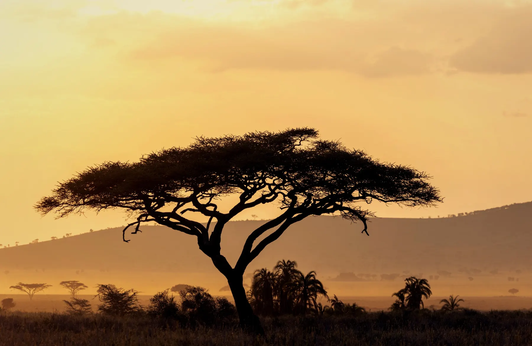 Melia Serengeti Lodge